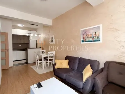 Izdavanje, stan, 46m², Ljubović, Podgorica - image 8