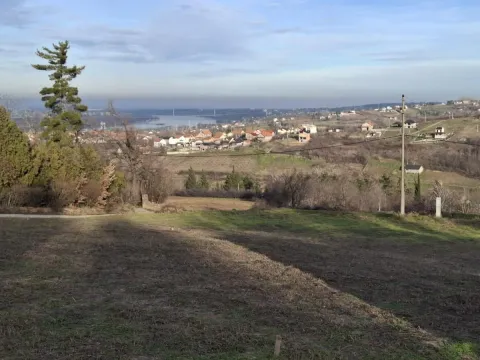 Prodaja, plac, 2400m², Ledinci, Petrovaradin - image 4