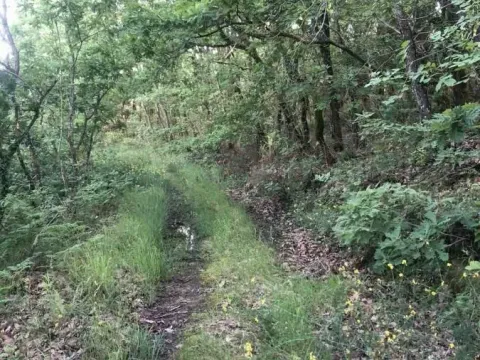 Sale, land lot, 18900m², Velja Gorana, Bar - image 8