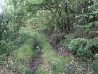 Prodaja, plac, 18900m², Velja Gorana, Bar - image 8