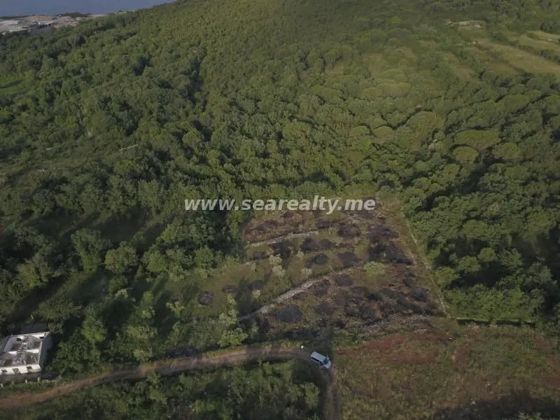 Prodaja, plac, 5600m², Krimovica, Kotor