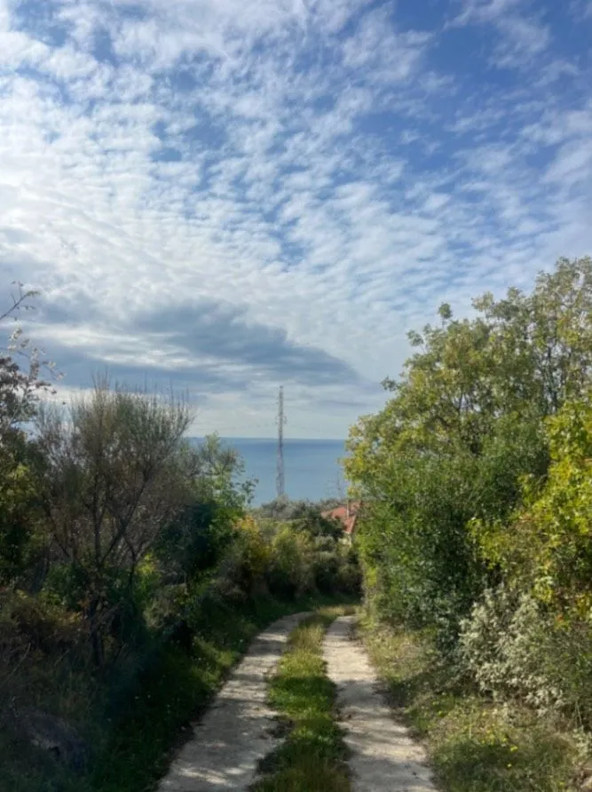 Prodaja, plac, 1430m², Dobre Vode, Bar
