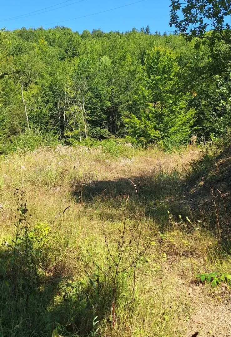 Prodaja, plac, 500m², Kolašin, Crna Gora