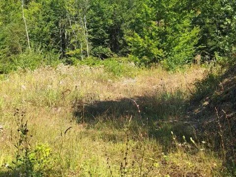 Sale, land lot, 500m², Kolašin, Crna Gora - image 2