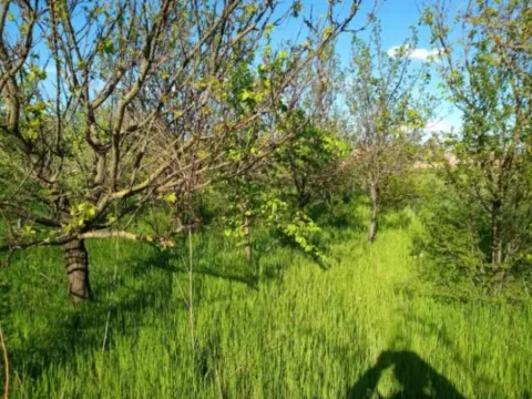 Sale, house, 108m², Banatska Dubica, Sečanj - image 12