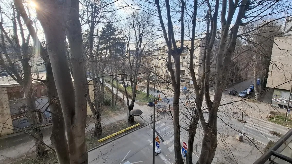 Pogled sa terase na gradsku ulicu i drveće.