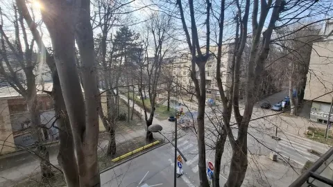 Pogled sa terase na gradsku ulicu i drveće. - image 18