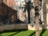 Prodaja, kuća, 240m², Podi, Herceg Novi - image 19