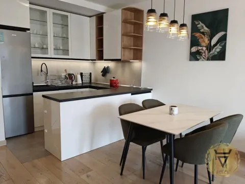 Izdavanje, dvosoban stan, 60m², Novi Beograd Sve Podlokacije, Beograd - image 4