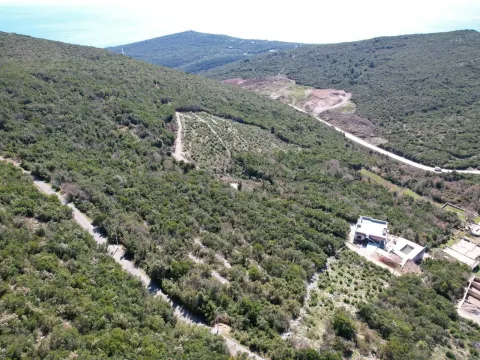 Prodaja, plac, 3542m², Višnjevo, Kotor - image 4