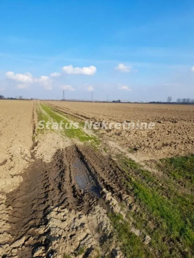 Prodaja, plac, 215m², Futog, Novi Sad Sve Podlokacije