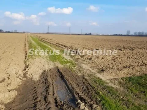 Sale, land lot, 215m², Futog, Novi Sad Sve Podlokacije - image 5