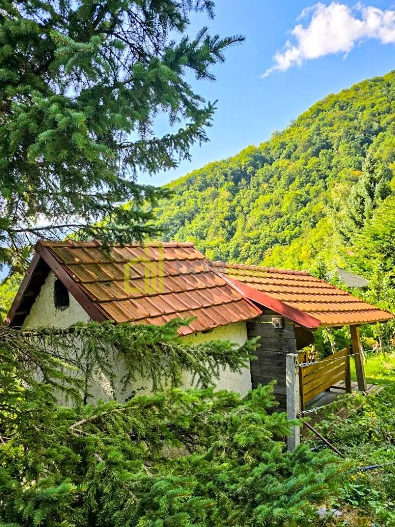 Prodaja, plac, 10000m², Kolašin, Crna Gora