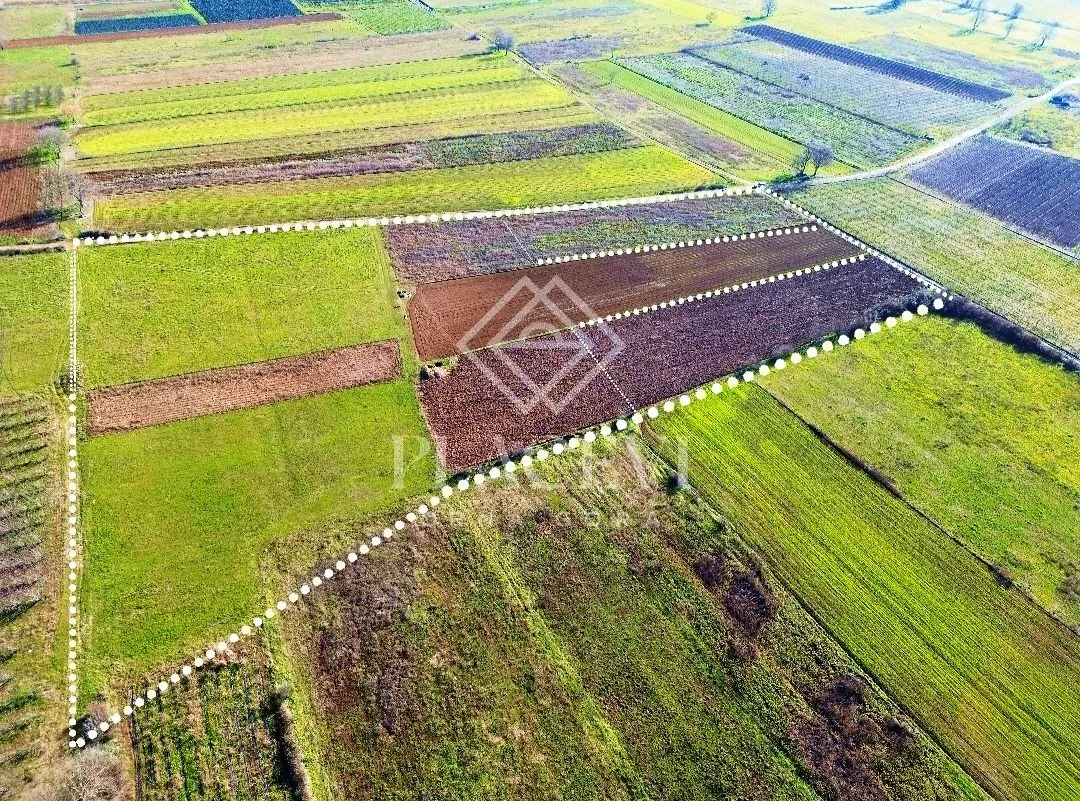 Prodaja, plac, 14618m², Mataguži, Podgorica