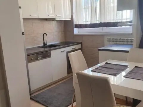 Rent, two bedroom apartment, 42m², Vračar Sve Podlokacije, Beograd - image 8