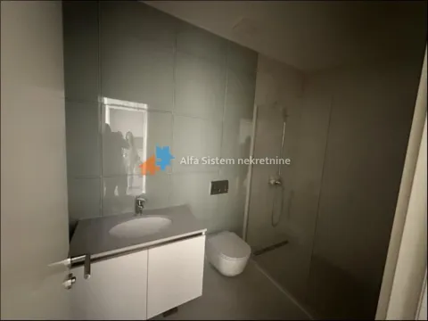 Izdavanje, dvosoban stan, 65m², Savski Venac, Beograd - image 11