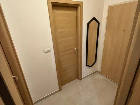 Rent, one bedroom apartment, 46m², Stari Aerodrom, Podgorica - image 9