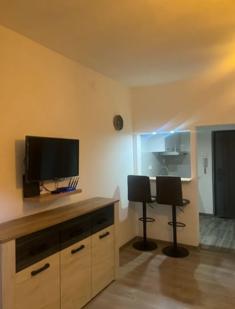 Izdavanje, jednosoban stan, 30m², Zabjelo, Podgorica