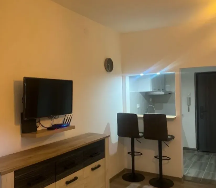 Izdavanje, jednosoban stan, 30m², Zabjelo, Podgorica