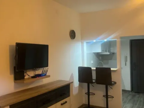 Izdavanje, jednosoban stan, 30m², Zabjelo, Podgorica