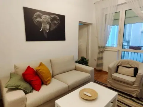 Izdavanje, dvosoban stan, 44m², Vračar Sve Podlokacije, Beograd - image 7