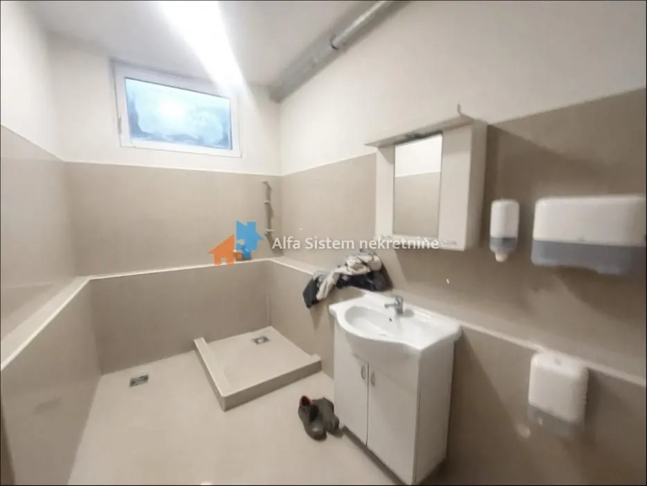 Bathroom with a shower enclosure, washbasin, and mirror.