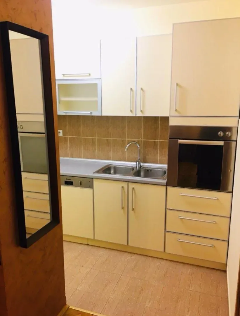 Izdavanje, jednosoban stan, 48m², Stari Aerodrom, Podgorica