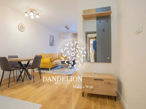 Izdavanje, jednosoban stan, 40m², Central Point, Podgorica - image 18