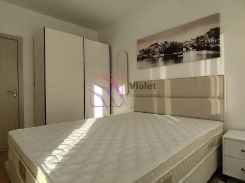 Rent, one bedroom apartment, 40m², Zabjelo, Podgorica - image 12