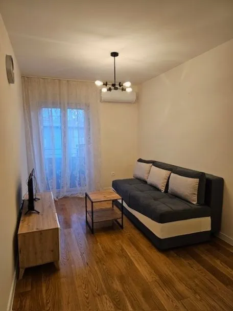 Izdavanje, jednosoban stan, 40m², Central Point, Podgorica