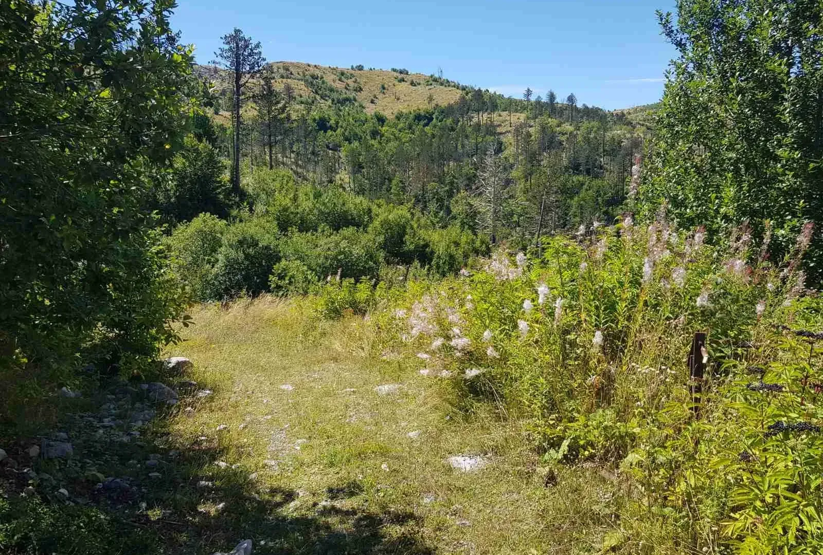 Prodaja, plac, 725000m², Podgorica, Crna Gora