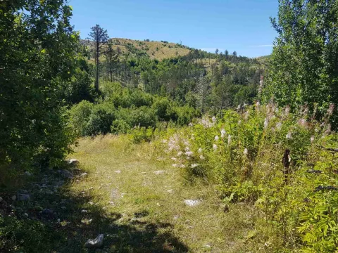 Prodaja, plac, 725000m², Podgorica, Crna Gora - image 3