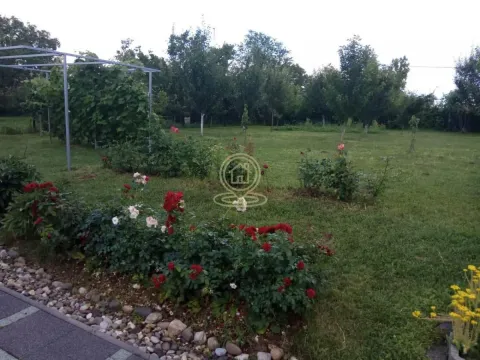 Zeleno dvorište sa travnjakom, ružama i voćnjakom. - image 2