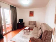 Izdavanje, jednosoban stan, 45m², Rozino, Budva - image 1