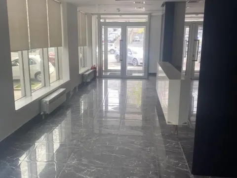 Izdavanje, poslovni prostor, 300m², Savski Venac, Beograd - image 6