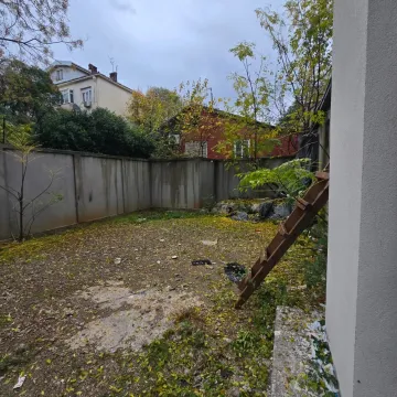 Enclosed yard with trees and a ladder leaning against the wall. - image 8