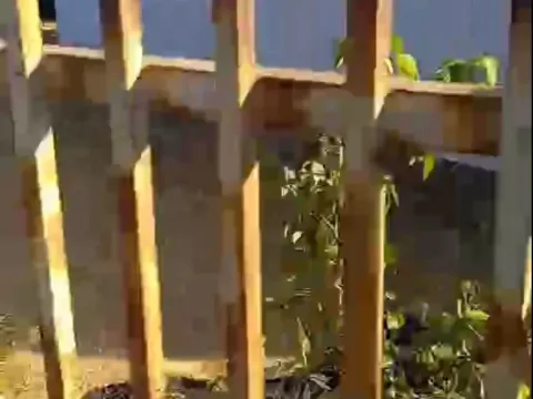 Sale, house, 113m², Bar, Crna Gora - image 2