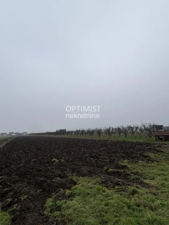 Prodaja, plac, 1000m², Zemun Ugrinovci, Zemun Sve Podlokacije