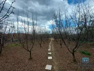 Prodaja, kuća, 30m², Kupusara, Jagodina - image 12