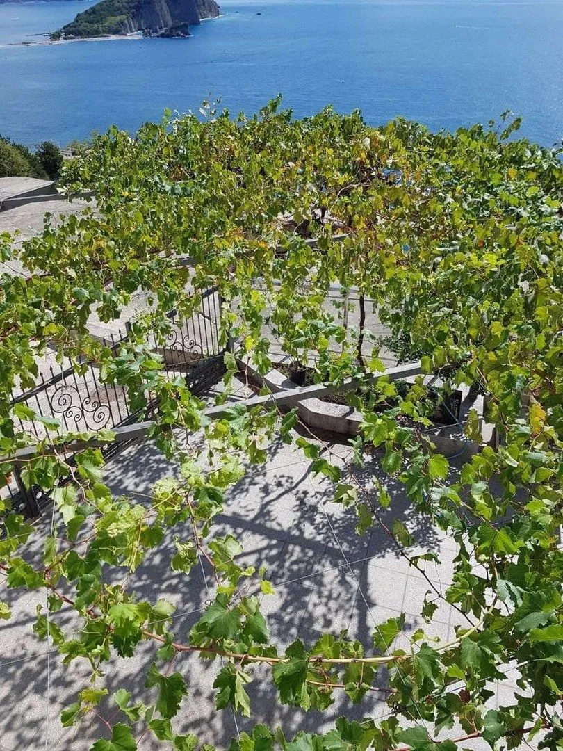 Sale, house, 220m², Gospoština, Budva