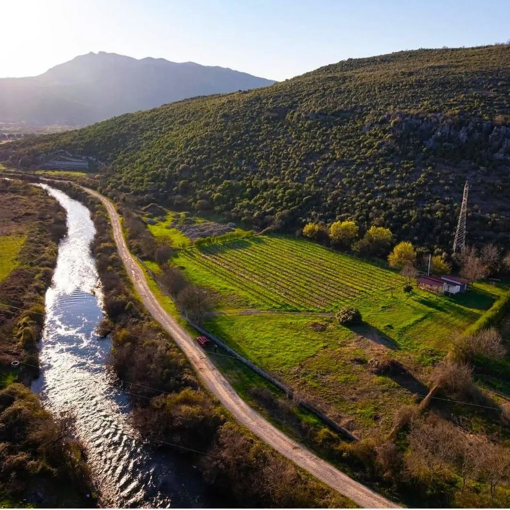 Prodaja, plac, 13000m², Beri, Podgorica
