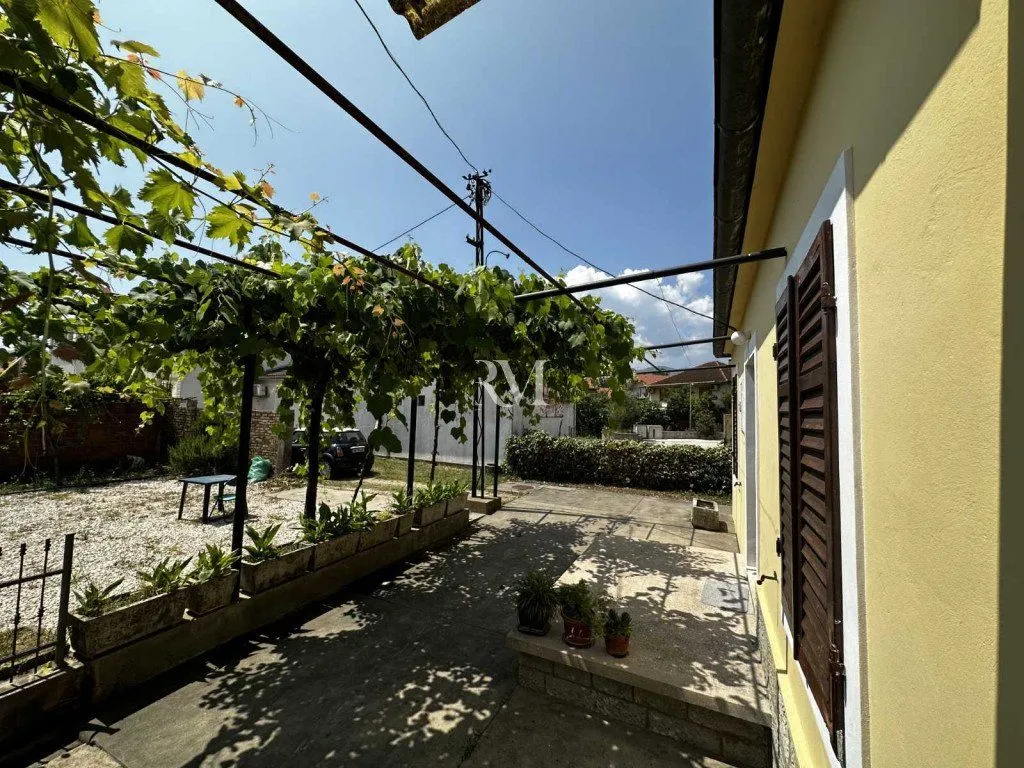 House yard with a terrace, greenery, and grapevine.