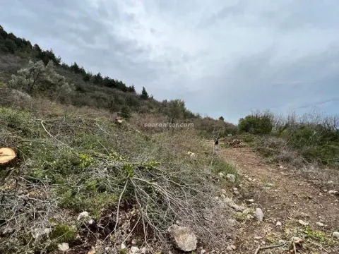 Sale, land lot, 5520m², Dub, Kotor - image 10