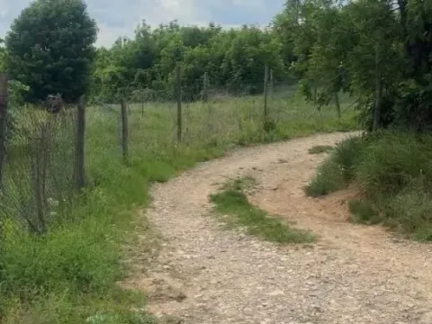 Prodaja, plac, 61200m², Grocka, Beograd - image 2