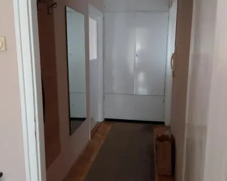 Izdavanje, dvosoban stan, 65m², Zemun Gornji Grad, Zemun Sve Podlokacije - image 8