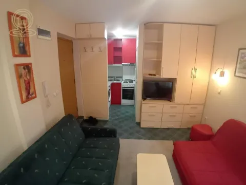 Izdavanje, garsonjera, 17m², Nova Detelinara, Novi Sad Sve Podlokacije - image 4