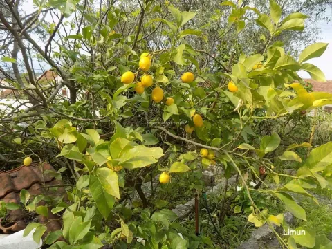 Prodaja, kuća, 119m², Centar, Tivat - image 22