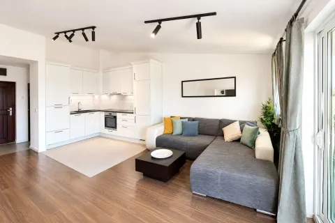 Modern and bright living room with a sofa and corner kitchen. - image 2