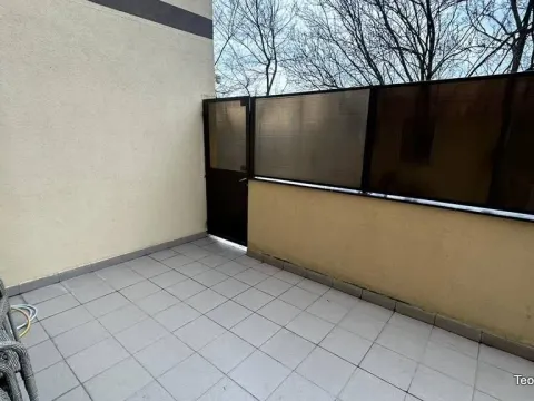 Sale, one bedroom apartment, 33m², Petlovo Brdo, Beograd - image 15