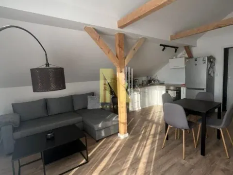 Izdavanje, kuća, 50m², Telep, Novi Sad Sve Podlokacije - image 2